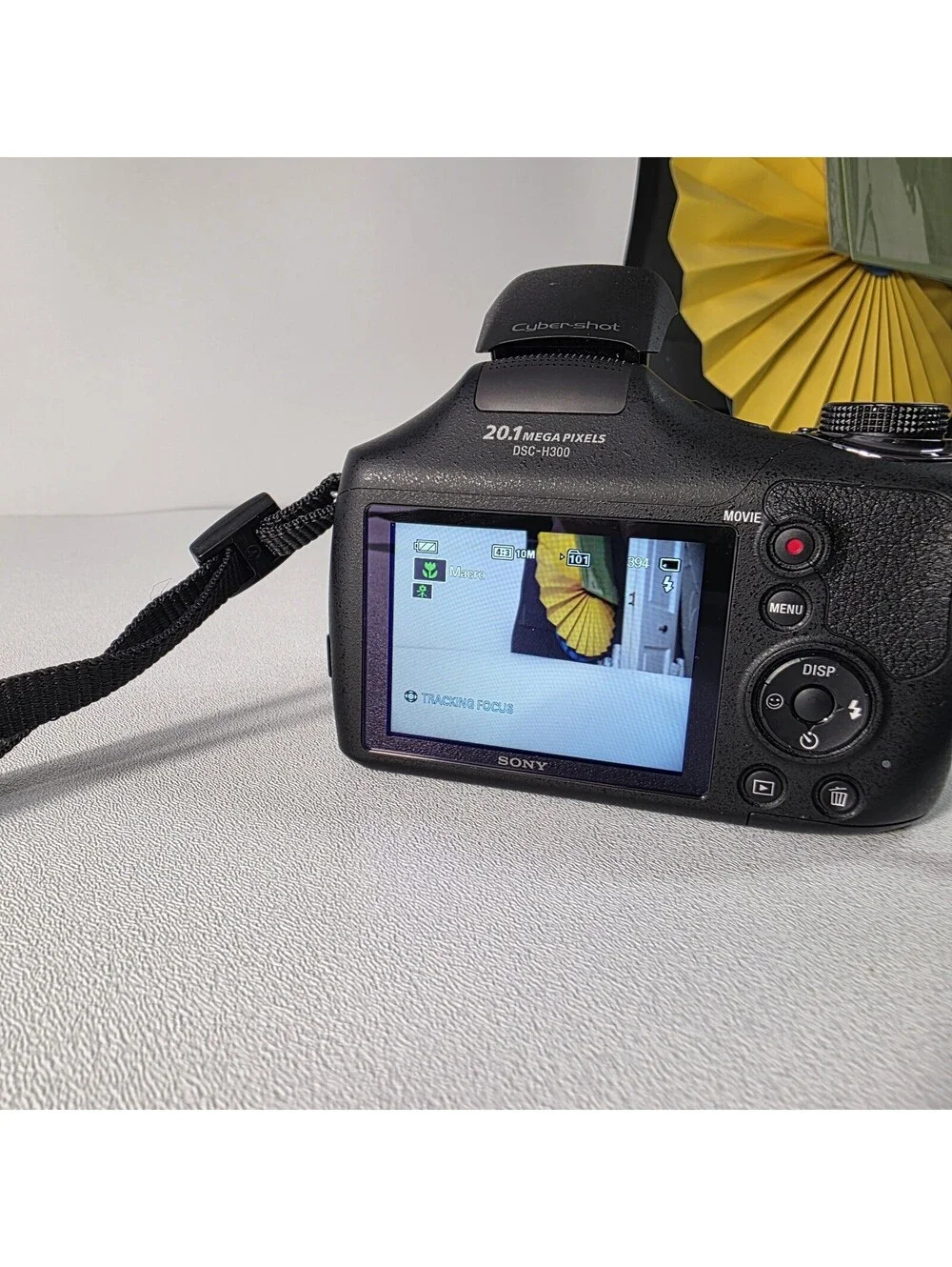 Sony Cyber-Shot DSC-H300 20.1MP Digital Point-And-Shoot Camera